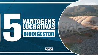 Conheça as vantagens lucrativas de um biodigestor [upl. by Eirod208]