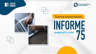 Tutorial presentación Informe 75 [upl. by Weeks]