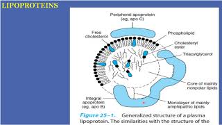 Clinical chemistry lecture 3 lipid metabolism disorders fifth year pharmacy students [upl. by Nahama298]