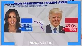 Florida poll shows Harris Trump in tight race  The Hill [upl. by Londoner]