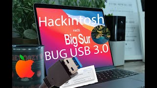 Corrigindo BUG nas portas USBs 30  Hackintosh Big Sur 113 [upl. by Ellennahs780]