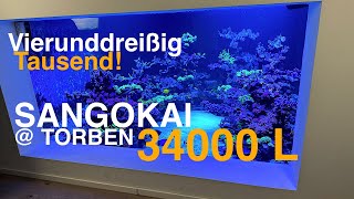 SANGOKAI  Torben 34000 L Korallen amp seltene Fische [upl. by Laven]