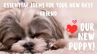 MustHave Items for New Dog Owners  Dont Forget These Essentials [upl. by Noram]