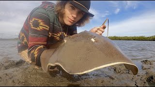 STINGRAY Rescue amp River Monster Hunting HUGE EEL [upl. by Bhatt674]