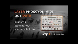 D16 Phoscyon Tutorial  Sending MIDI Out in Ableton Live [upl. by Nylrehc556]