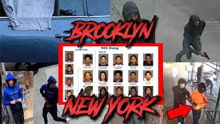 BROOKLYN 900 GANG INDICTED AFTER BACK TO BACK SHOOTINGS [upl. by Solraced]