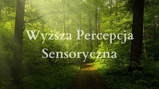 78 Wyższa Percepcja Sensoryczna [upl. by Kore]