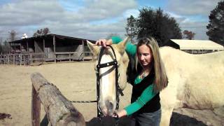 How to Bridle a Horse by SaddleOnlinecom [upl. by Alegre164]