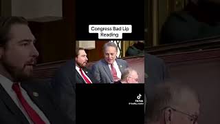 Bad Lip Reading Congress Compilation 2024 [upl. by Arondell656]