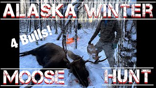 S22Ep10 Alaska Winter Moose Hunt [upl. by Elenaj]