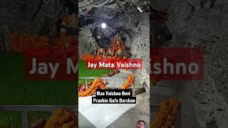 Mata Vaishno Mandir darshanhappy Navratra  Mata Vaishnoman Man Durga shong short s video viral [upl. by Dorice]