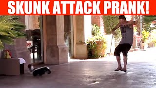 Skunk Attack Spray Prank [upl. by Sesylu]