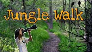 Jungle Walk  Sanghe  EP 1 [upl. by Constance548]