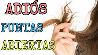 Tratamiento casero para las puntas abiertas del cabello reseco [upl. by Sileray]