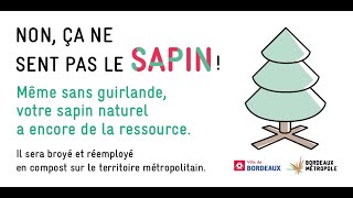 🎄 Collecte de sapins à Bordeaux 228 Bordeaux Métropole Pourquoi  Comment [upl. by Chessy]