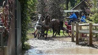 DE RONDE Peter NEDCAIO4 H4 WCupQ DVI Valkenswaard Marathon Obs 4 31 07 2021 [upl. by Ranique]