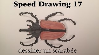 TUTO  COMMENT DESSINER UN SCARABEE [upl. by Sinnek]