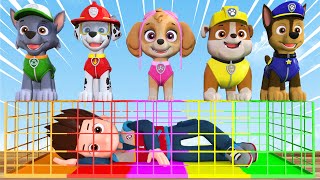 5 Giant Paw Patrol Dont Choose the Wrong Christmas Present CHALLENGE Holiday Game 3D Animation [upl. by Anniala]