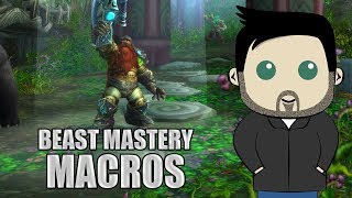 Beast Mastery Hunter GSE Macros for 80 [upl. by Thormora]