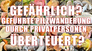 Gefahren durch amp Wucher bei geführten Pilzwanderungen durch Privatpersonen  Pilzexperten erkennen [upl. by Nathan202]