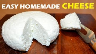 How to Make Cheese at Home  2 ingredient Easy Cheese Recipe [upl. by Hymie909]