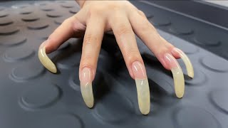 ASMR Tapping amp Scratching with my LONG NATURAL NAILS🐱🐾 [upl. by Hsara]