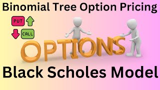 Binomial Tree Option Pricing converging to Black Scholes Option Pricing in Python [upl. by Hteik]