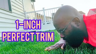 Trimming Tall Fescue to a Perfect 1Inch Lawn Care Tips [upl. by Bozovich536]