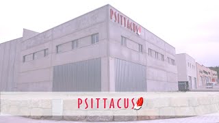 Psittacus Corporate [upl. by Heall43]