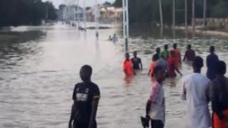 Flood Takes Over Shehu Of Borno’s Palace Displaces Residents In Borno State [upl. by Notnilk525]