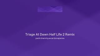 Triage At Dawn Half Life 2 Remix [upl. by Erina]