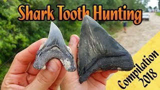 Shark Tooth Hunting in Florida  Summer of 2018 Compilation  Megalodon Teeth amp Fossil Great Whites [upl. by Flan]