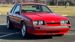 1986 mustang notchback 50 5 speed 65k documented miles STUNNING [upl. by Akcemat]