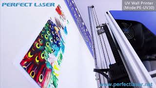 Wall Printer Series  PEUV30 [upl. by Nohsal]