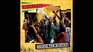 Alborosie  Positiveness HQ [upl. by Suirradal208]