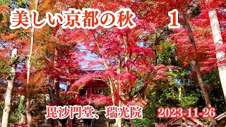 【美しい京都の秋】やっぱり秋の京都の紅葉は素晴らしい。2023年11月の京都を訪ねます。初回は山科編。毘沙門堂と瑞光院です。 [upl. by Ibmat959]