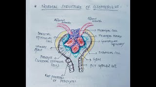 Nephrotic syndrome Introduction  Pathology  Handwritten notes [upl. by Thaxter]