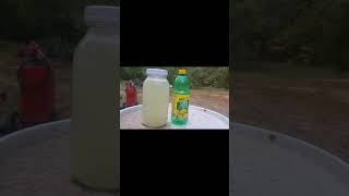 Homemade Lemonade  Just add water no more dyes lemonade homesteading food dyes savemoney [upl. by Nihahs]