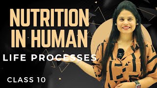 Nutrition In Human  Chapter 5  Introduction  Class 10 Science  NCERT [upl. by Troc]