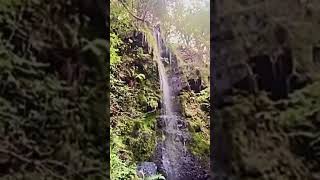 Mallyan spout waterfall North Yorkshire moors [upl. by Nerhtak]