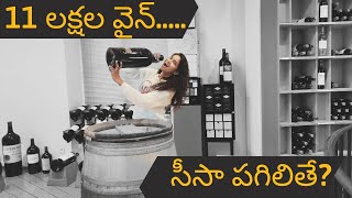 Expensive Wine in Worlds wine capital  French Telugu Vlogs  Shruthi Telugu Vlogs [upl. by Noiramaj]