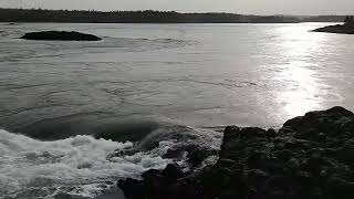 Cobscook Bay Reversing Falls Maine [upl. by Asined]