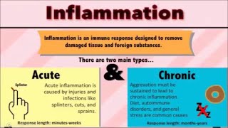 Inflammation lecture with pathophysiology [upl. by Enilauqcaj434]