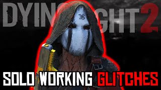 Dying Light 2 Working Solo Glitches Patch 118 [upl. by Ekul]