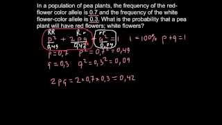 How to solve population genetics problems [upl. by Yleek828]