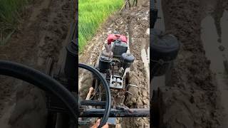 Auto machine live viralvideo machine trending video shortstrending viralvideo [upl. by Barmen720]