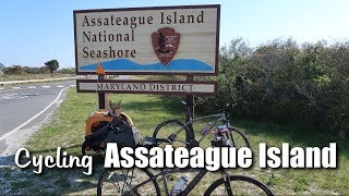 Cycling Assateague Island [upl. by Hairacaz]