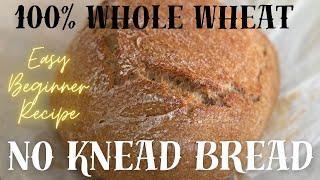 100 Whole Wheat Dutch Oven Bread Recipe 4 Ingredients No Knead Beginner Bread Cheap Easy recipe [upl. by Ahsai]