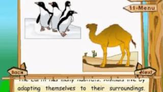 Learn Science  Class 4  Animal Life  Adaptation of Animals to the Habitat  Animation [upl. by Dnalsor]