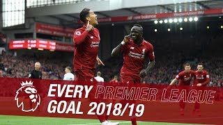 All 89 of Liverpools Premier League goals from the 201819 season [upl. by Anual]